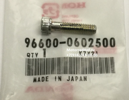 Болт натяжителя цепи 6Х25 ГРМ Honda CBR1000RA оригинал (арт. 966000602500), Bolt, Socket, 6X25, Honda